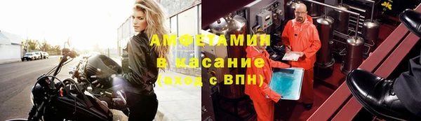 шишки Армянск