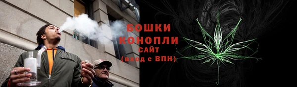 шишки Армянск
