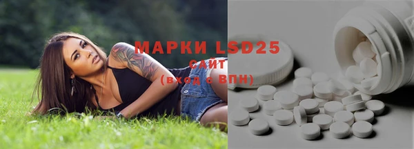 шишки Армянск
