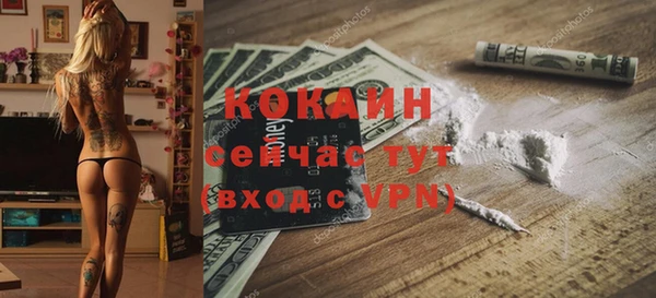 шишки Армянск