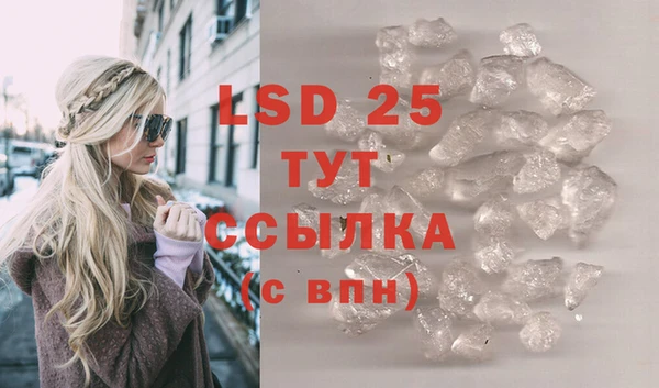 шишки Армянск