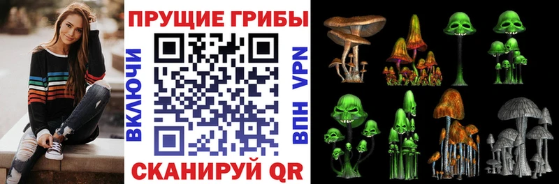 Псилоцибиновые грибы прущие грибы  хочу   Баймак 