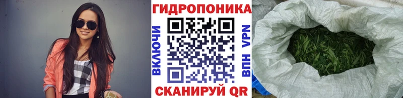 kraken маркетплейс  наркошоп  Баймак  Шишки марихуана план 
